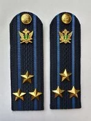 Погоны ФССП с фурнитурой звание Полковник картон 14х4,5см цвет темно-синий