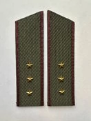 Погоны Росгвардии ФСВНГ на китель в сборе Старший Прапорщик скос галун 17х5см
