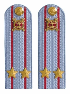Погоны Полиции картон голубые Подполковник 15 см