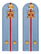 Погоны Полиции картон голубые Лейтенант 15см