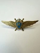 Нагрудный знак Классность ВВС, ВКС Мастер