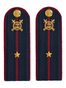Погоны Полиции картон (в сборе) укомплектованные с фурнитурой темно-синие Младший лейтенант 12 см