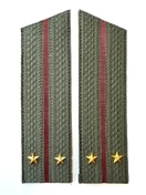 Погоны Росгвардии ФСВНГ на китель в сборе Лейтенант скос галун 17х5см