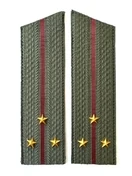 Погоны Росгвардии ФСВНГ на китель в сборе Старший Лейтенант скос галун 17х5см