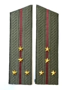 Погоны Росгвардии ФСВНГ на китель в сборе Капитан скос галун 17х5см