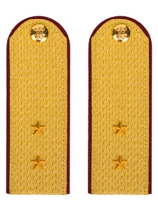 Погоны ФСИН парадные Прапорщик картон цвет золотой