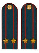 Погоны МЧС на Китель картон звание Подполковник 14см