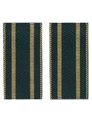 Фальш погоны Таможенной службы с 2 просветами цвет темно-зеленый