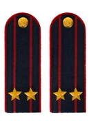 Погоны Полиция в сборе на китель темно-синие Подполковник картон 15см Пришивные