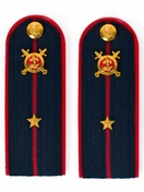 Погоны Полиции ПЛАСТИК (в сборе) укомплектованные с фурнитурой темно-синие (Младший лейтенант) 14х5см
