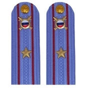 Погоны МВД внутренняя служба на рубашку голубые ПЛАСТИК Звание Майор