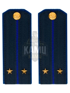 Погоны ФСБ на китель цвет синий картон, звание Лейтенант 14х5,5см