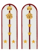 Погоны ФСИН на рубашку ПЛАСТИК цвет белый, звание Капитан 14х5 см