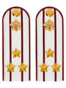 Погоны ФСИН на рубашку ПЛАСТИК цвет белый, звание Полковник 14х5 см