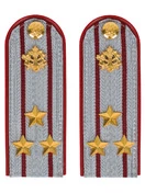 Погоны ФСИН на рубашку пластик, звание Полковник цвет серый 14х5 см