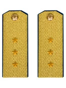 Погоны парадные ФСБ золотые картон Старший Прапорщик