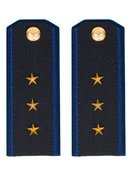 Погоны ФСБ на Китель синие картон звание Старший Прапорщик