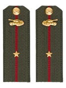 Погоны МО Танковые войска зеленые звание Младший лейтенант Картон