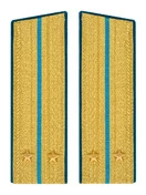 Погоны ВДВ, ВКС, ВВС парадные золотые с фурнитурой Скос на Китель звание Лейтенант