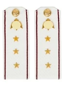 Погоны Росгвардии ФСВНГ на рубашку белые 14х5 см КАРТОН звание Старший Прапорщик