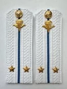 Погоны ВДВ с фурнитурой белые Лейтенант КАРТОН