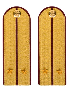 Погоны ФСИН парадные Лейтенант картон цвет золотой 13см