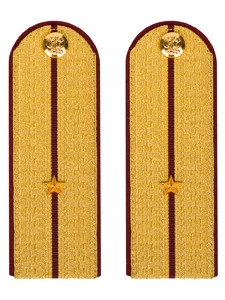Погоны ФСИН парадные Младший Лейтенант картон цвет золотой 13см
