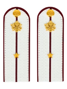 Погоны ФСИН белые картон (в сборе) укомплектованные с фурнитурой звание Младший лейтенант 14х5 см