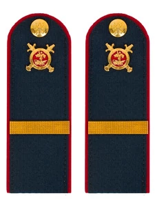 Погоны Полиции темно-синие КАРТОН Звание Ефрейтор 15см