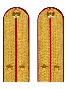 Погоны МВД парадные звание Лейтенант цвет золотой 12 см