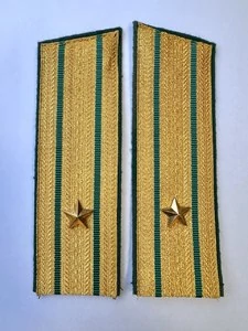 Погоны Пограничной службы ПС ФСБ в сборе картон Майор золотые Скос 17см