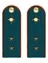 Погоны МЧС Прапорщик Картон