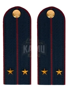 Погоны ФСИН на КИТЕЛЬ картон звание Лейтенант 12 см