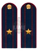 Погоны ФСИН на КИТЕЛЬ картон звание Майор 13 см