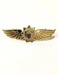 Нагрудный знак классность ФСО 2