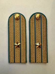 Погоны ФССП парадные золотые с фурнитурой звание Майор Картон 13см