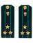 Погоны Прокуратуры темно-синие ПЛАСТИК Звание Полковник 14см