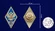 Знак об окончании Военной академии ВКО им. Г.К. Жукова №2792