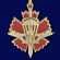 Знак отличия За службу в военной разведке Воздушно-десантных войск