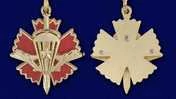 Знак отличия За службу в военной разведке Воздушно-десантных войск