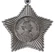 Сувенирный орден Суворова III степени (на колодке) №647Б (330)