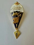 Сувенирный знак Парашютист-отличник количество прыжков 20
