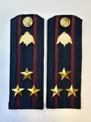 Погоны Росгвардии ФСВНГ на куртку 13,5 см ПЛАСТИК звание Полковник цвет темно-синий