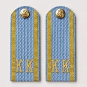 Погоны Полиции МВД кадетские Голубые КК 12 см картон в сборе с фурнитурой