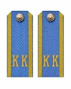 Погоны ФСБ,ФСО кадетские Голубые КК 10,5 см картон в сборе с фурнитурой