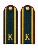 Погоны ФСИН курсантские К темно-зеленые 14 см картон в сборе с фурнитурой
