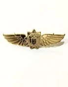 Нагрудный знак классность ФСО 2