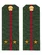 Погоны МО офисные зеленые звание Лейтенант Пластик