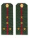 Погоны МО офисные зеленые звание Капитан Пластик