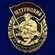 Знак штурмовика "За ратную доблесть" цвет золотой